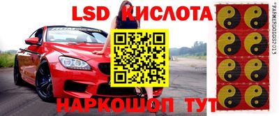 молекула духа Будённовск
