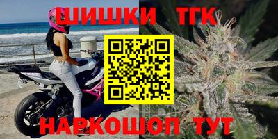 молекула духа Будённовск