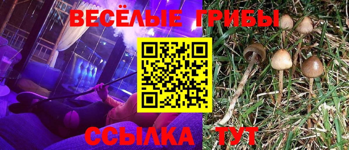 Тихвин  Галлюциногенные грибы GOLDEN TEACHER  Вход с VPN 